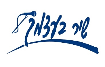 שיר בעצמך | אימון אישי | אסטרטגיה עסקית 